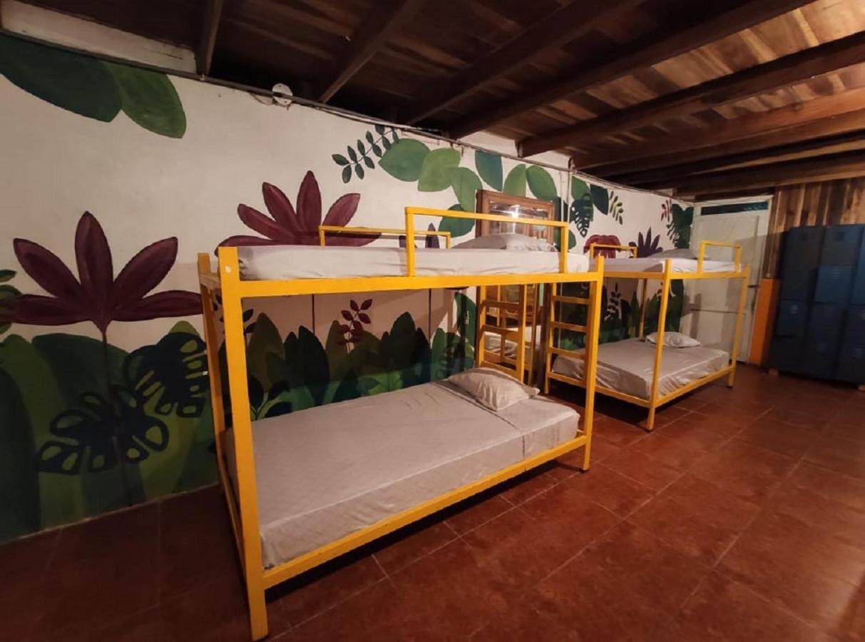Madre Selva Hostel Puerto Viejo de Talamanca Kültér fotó