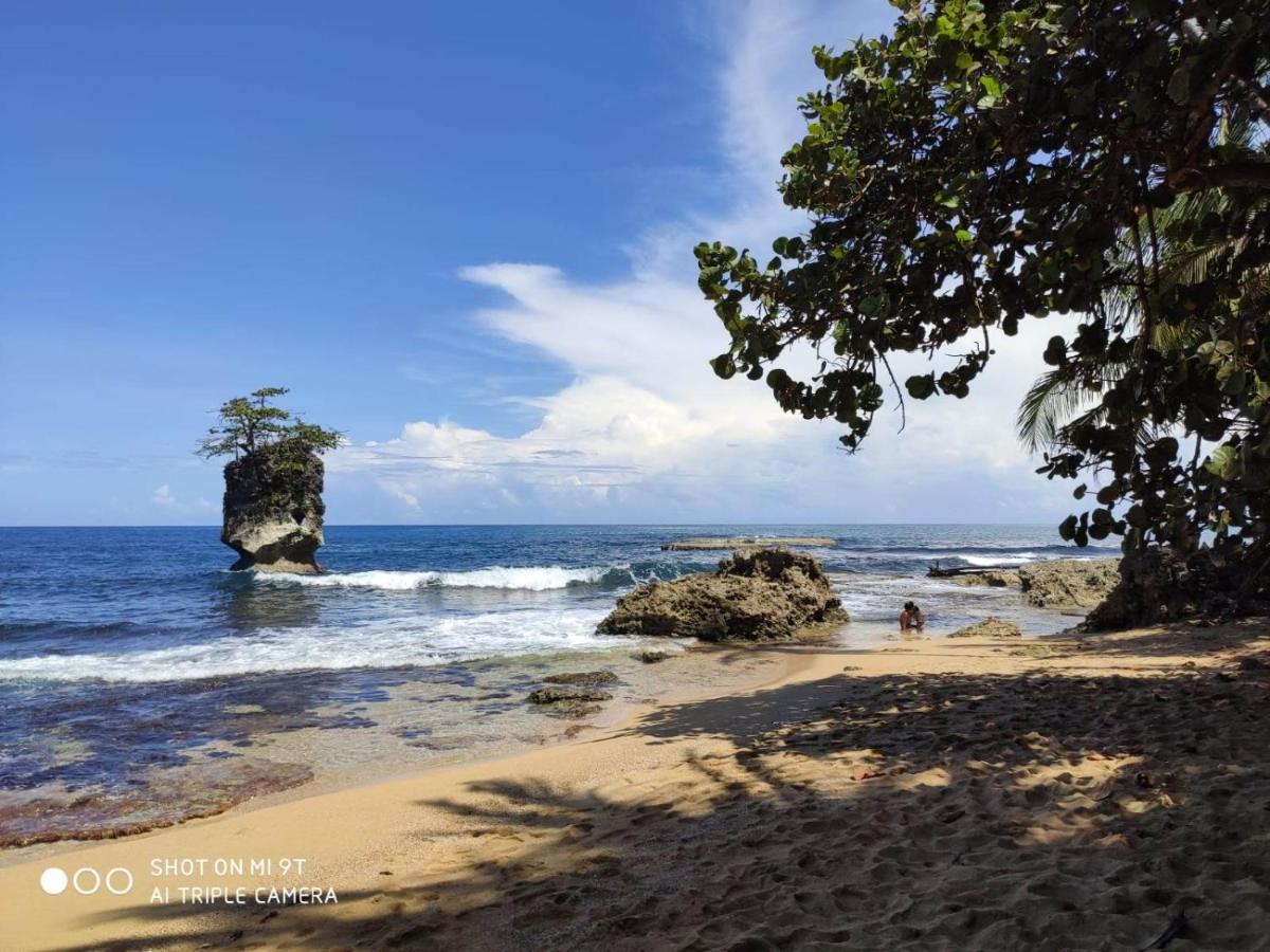 Madre Selva Hostel Puerto Viejo de Talamanca Kültér fotó