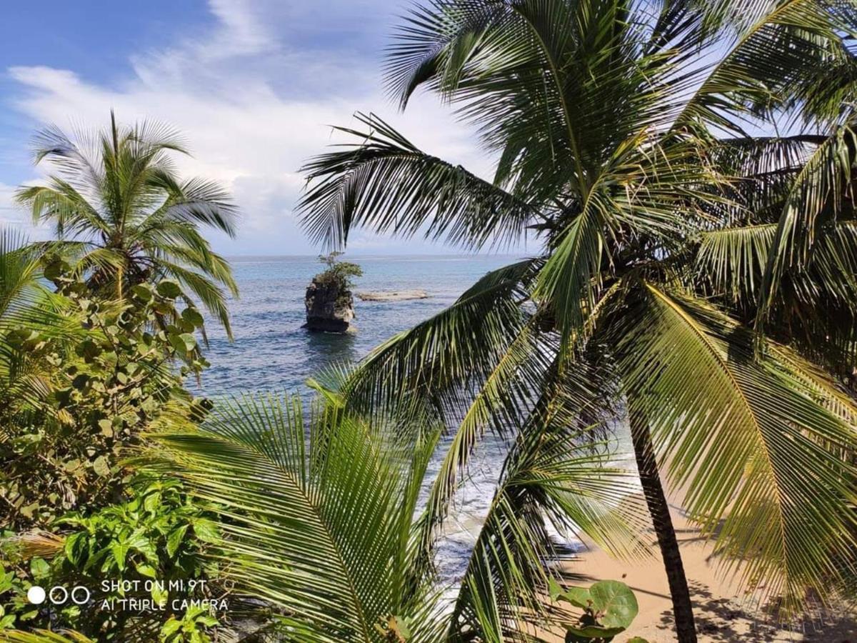 Madre Selva Hostel Puerto Viejo de Talamanca Kültér fotó