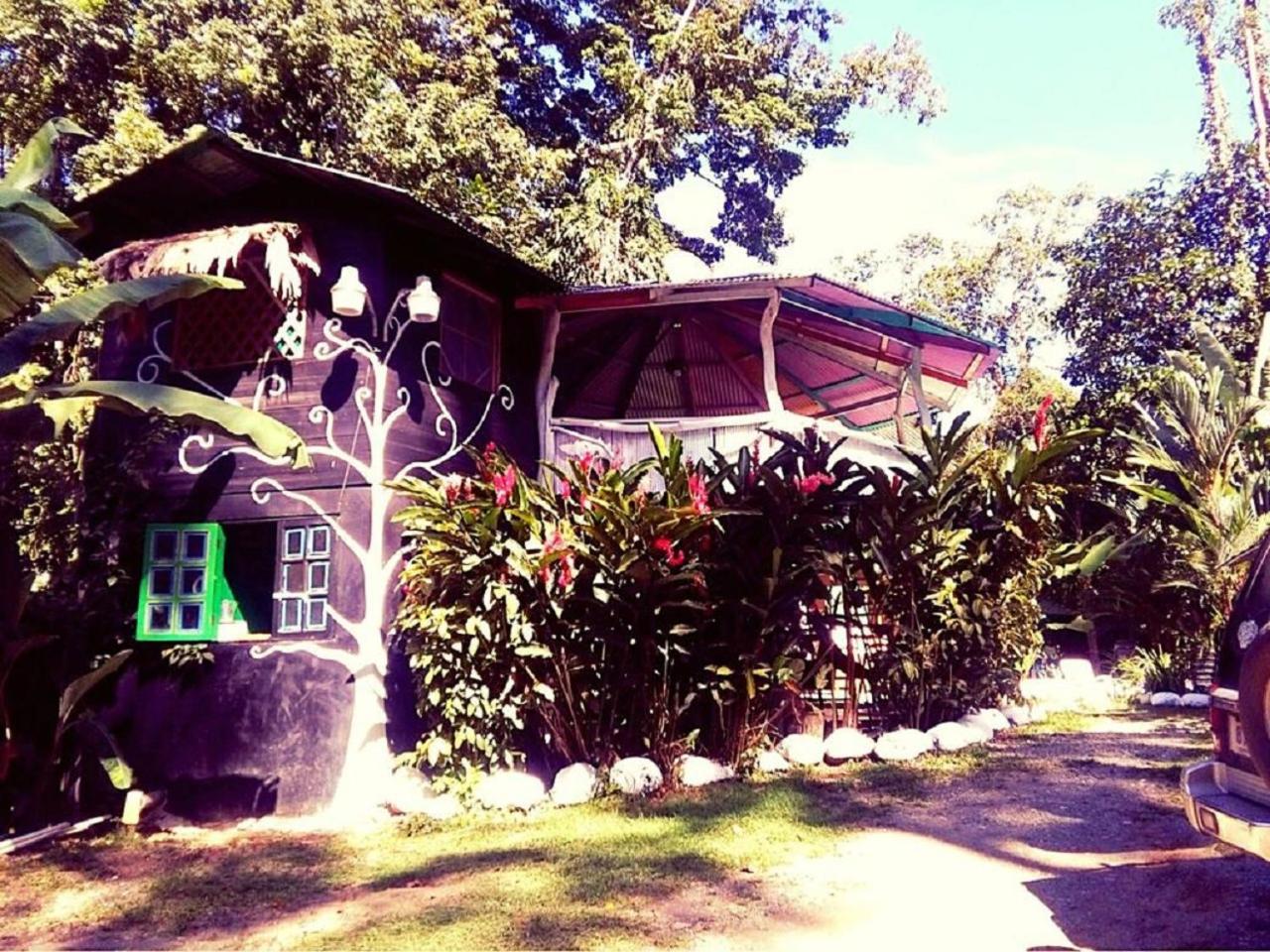 Madre Selva Hostel Puerto Viejo de Talamanca Kültér fotó