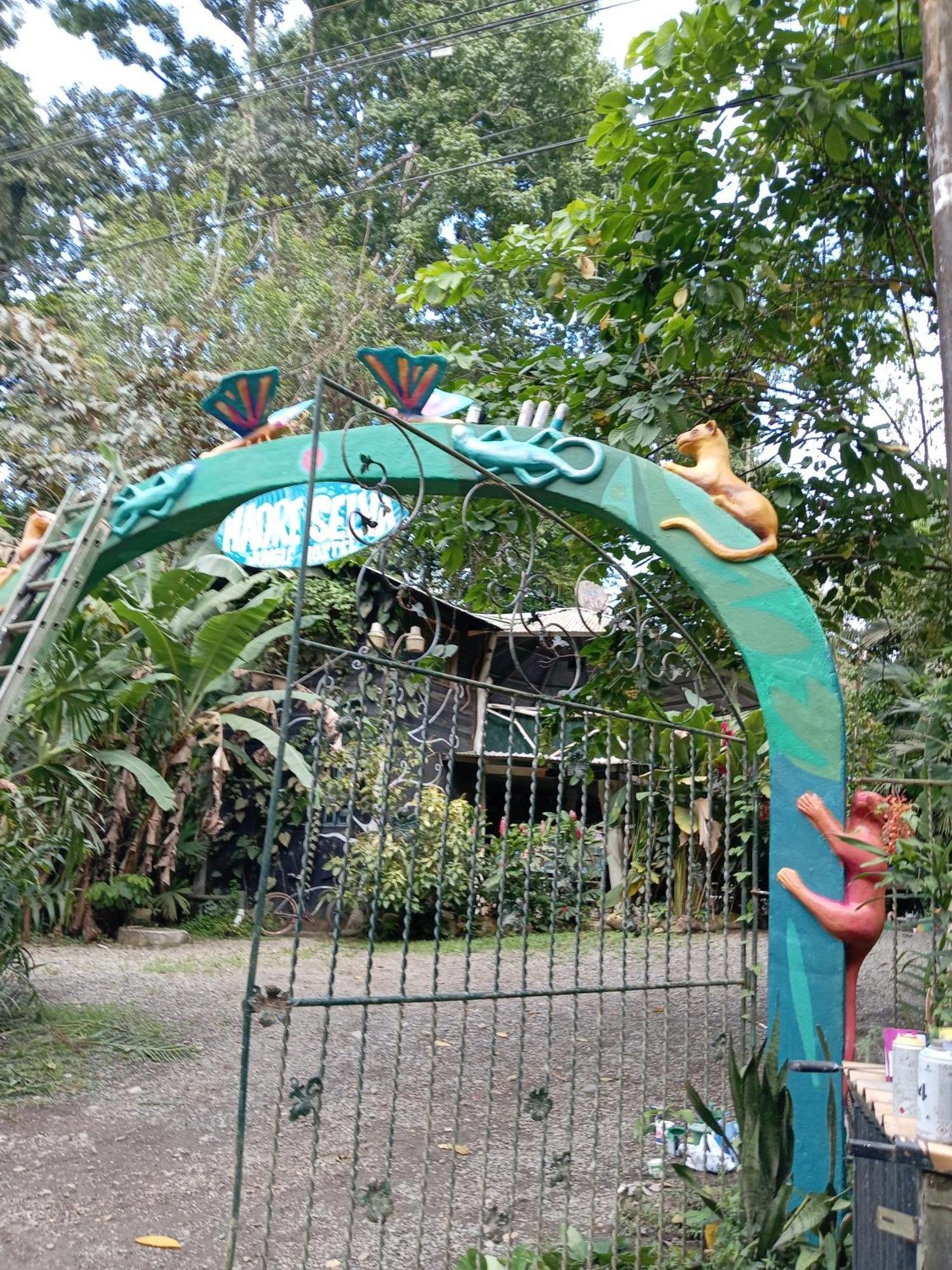 Madre Selva Hostel Puerto Viejo de Talamanca Kültér fotó