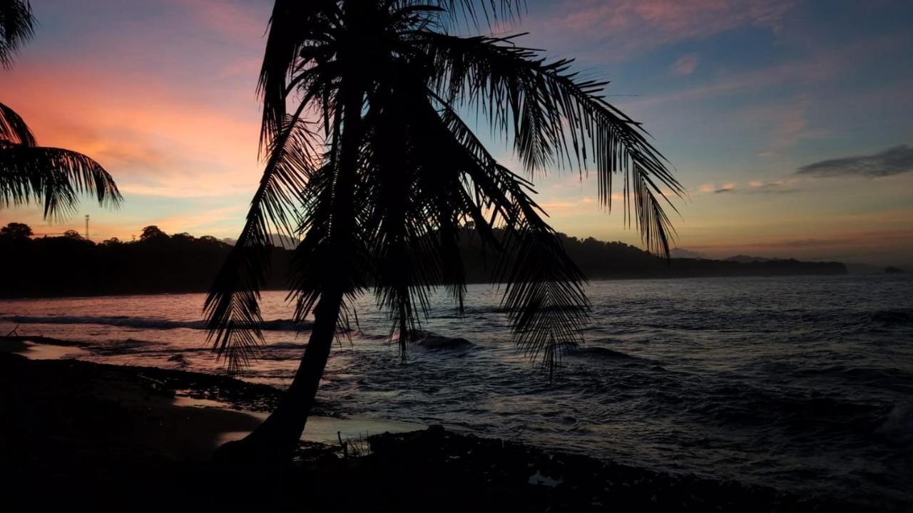 Madre Selva Hostel Puerto Viejo de Talamanca Kültér fotó