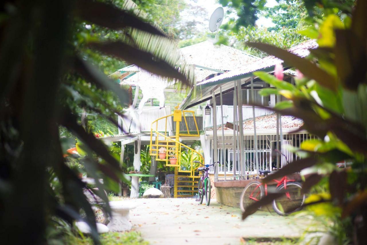 Madre Selva Hostel Puerto Viejo de Talamanca Kültér fotó