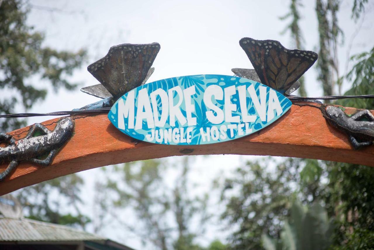 Madre Selva Hostel Puerto Viejo de Talamanca Kültér fotó