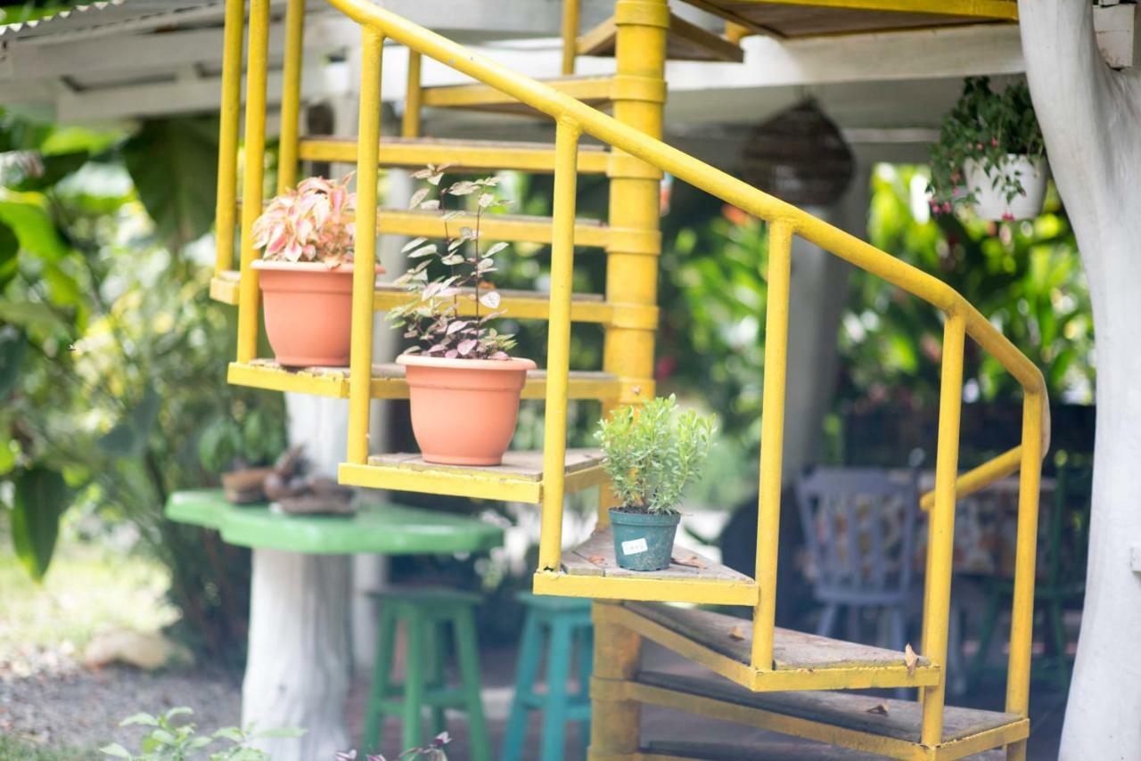 Madre Selva Hostel Puerto Viejo de Talamanca Kültér fotó